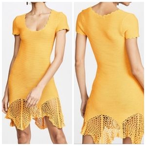 NWT Ronny Kobo Crochet Knit Stella Dress Sz Small